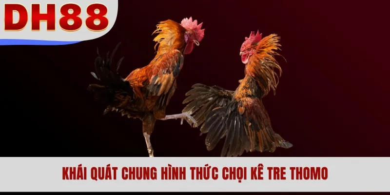 Khái quát chung hình thức chọi kê tre Thomo