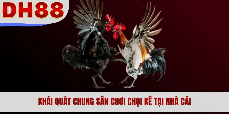 Khái quát chung sân chơi chọi kê tại nhà cái