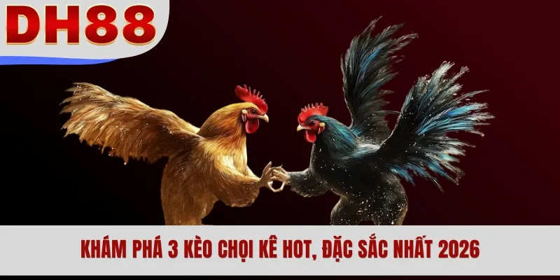 Khám phá 3 kèo chọi kê hot, đặc sắc nhất 2026